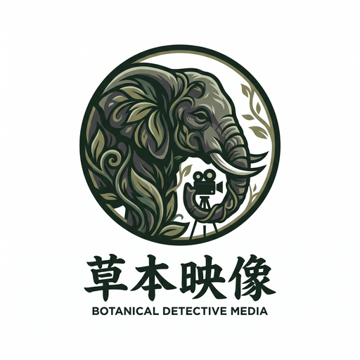 大象传媒